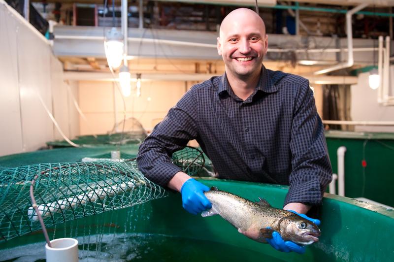 Mark Fast holding an Atlantic Salmon used in one of his research projects